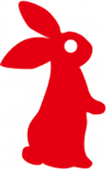 RT Corporation logo