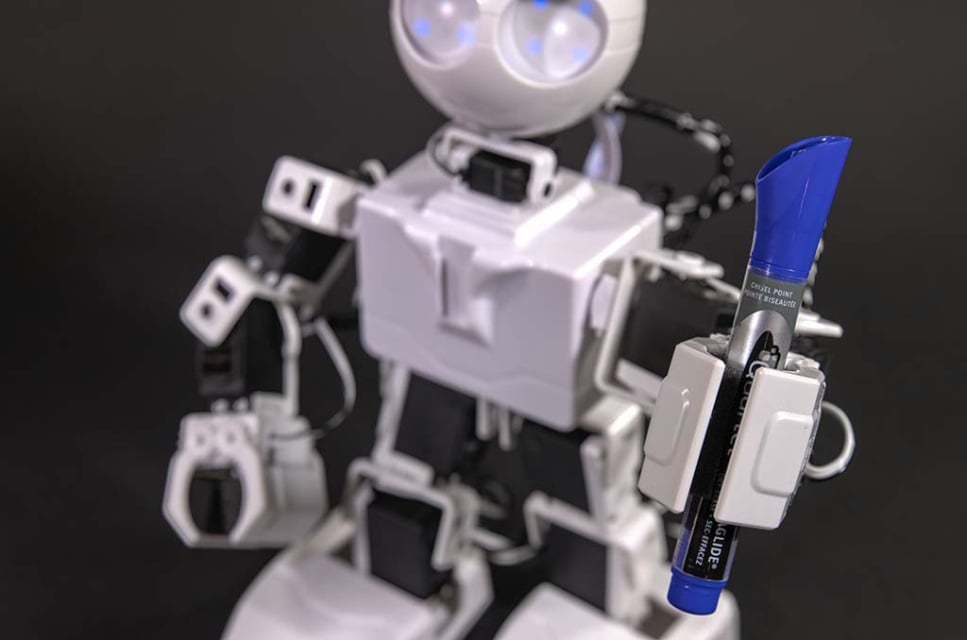 EZ‑Robot Inc. JD - Humanoid Robot humanoid robot