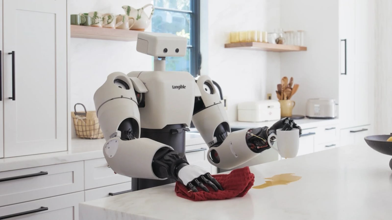 Tangible Robots Eggie humanoid robot