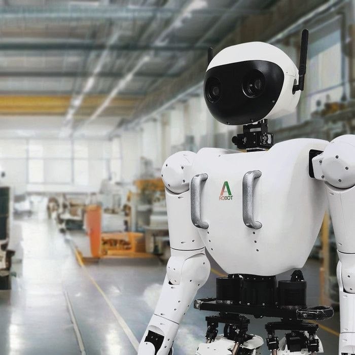 AEI Robot Alice humanoid robot