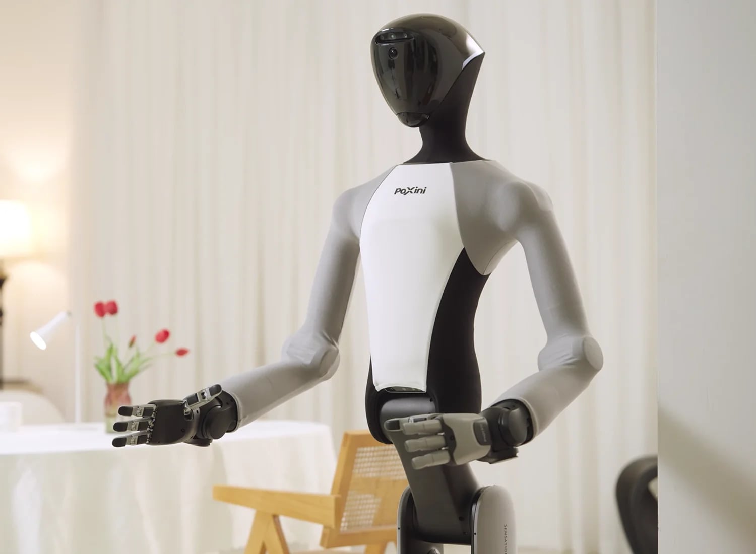 PaXini (PaXini Tech) Tora DoubleOne humanoid robot