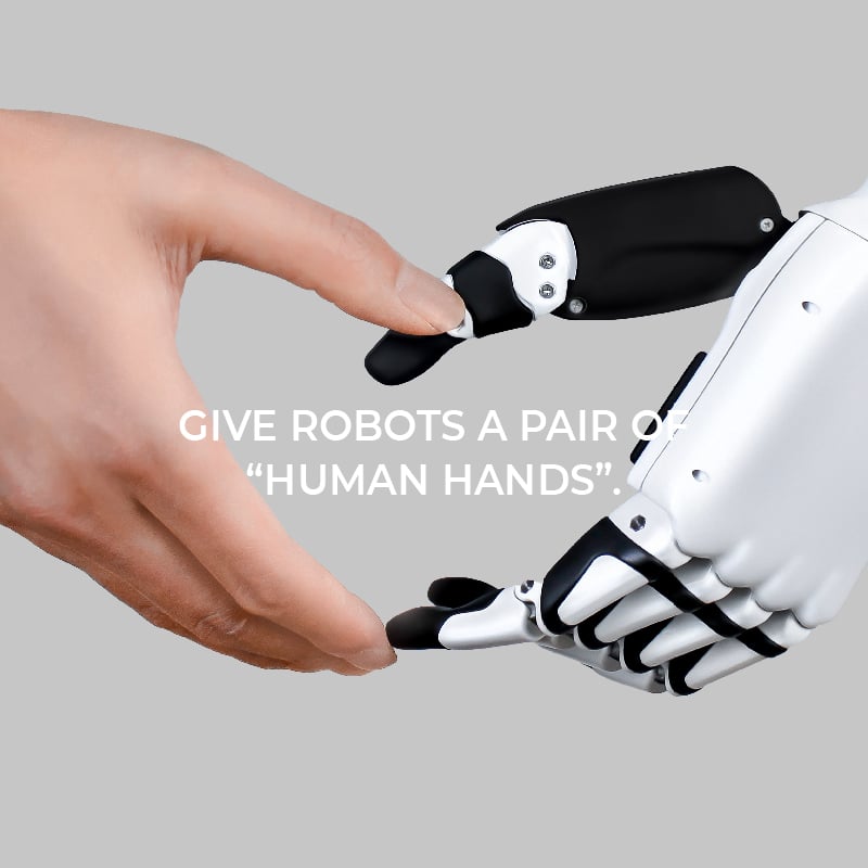 Beijing Inspire-Robots Technology Co., Ltd. RH56 series humanoid robot