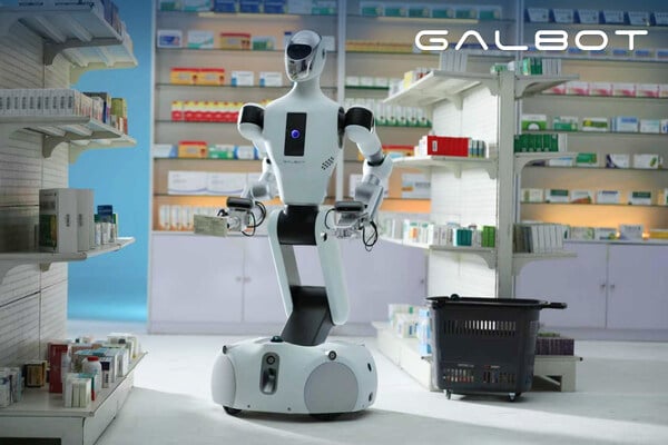 Beijing Galbot AI Co., Ltd. Galbot humanoid robot