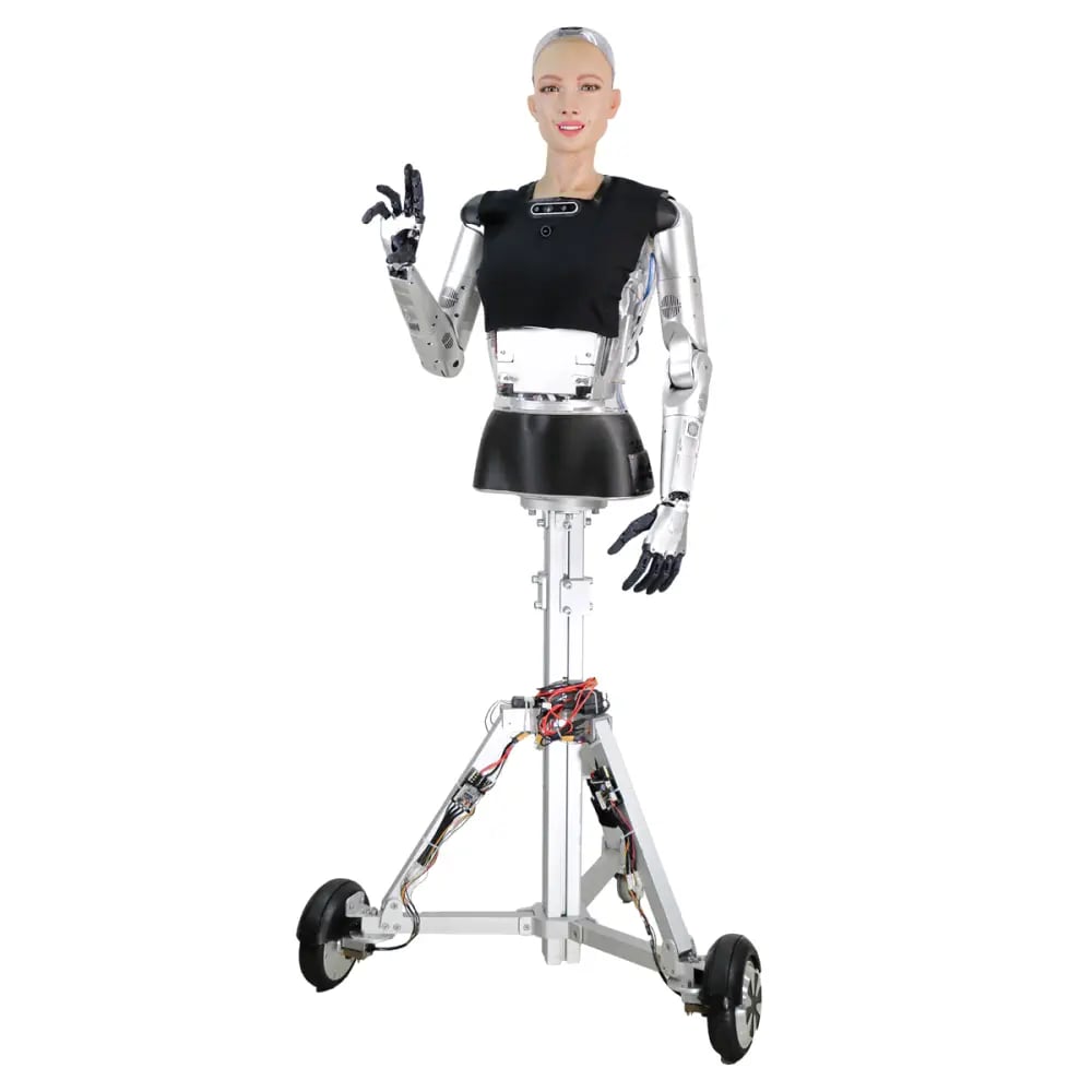 Hanson Robotics Limited Sophia humanoid robot